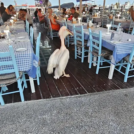 Сasa de vacaciones Maya