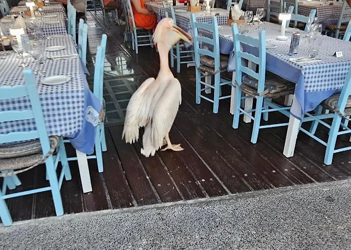 Case de vacanță Maya